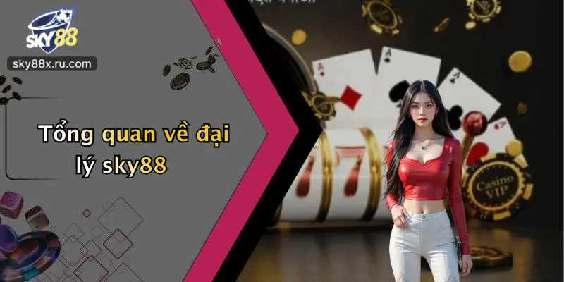 Tổng quan về đại lý sky88